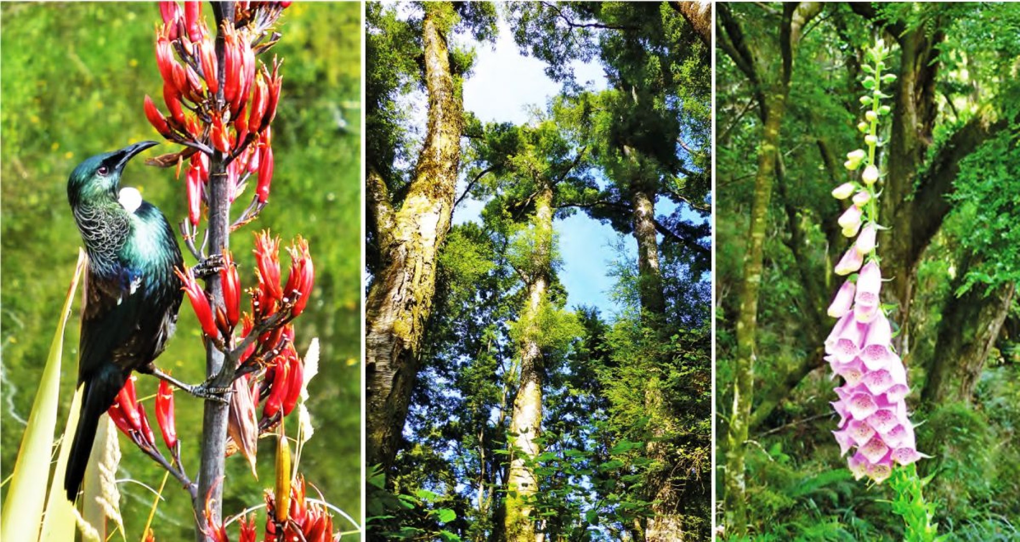 Meeting nature first-hand