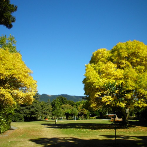1.	Victoria Park with Hunters Hills in the distance