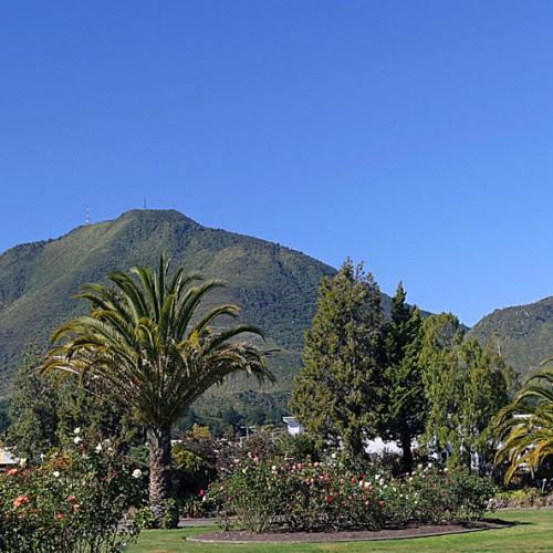 Putauaki (Mt Edgcumbe)