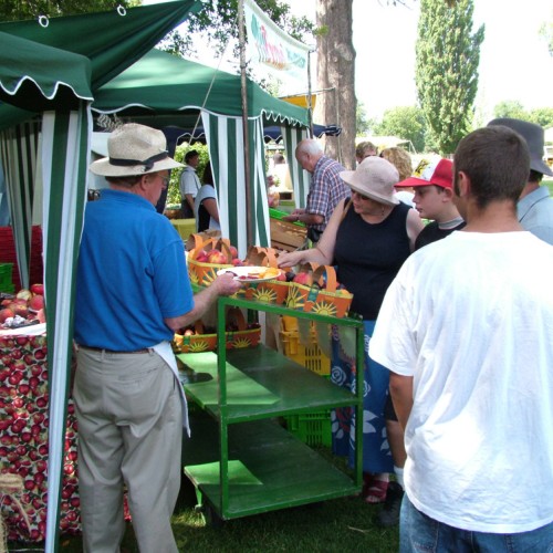 Hawke's Bay Farmer's Market