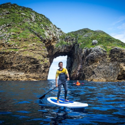 Poor Knights Islands, Tutukaka