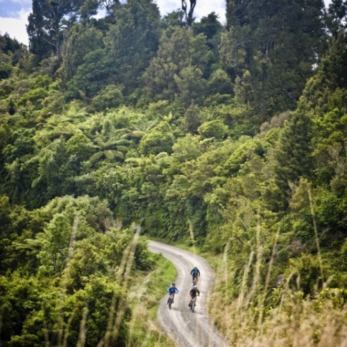 Riding the Motu Trails