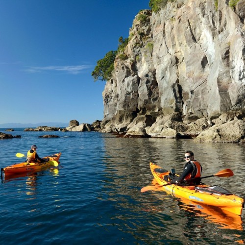 Moutohoroa Island - Whakatane