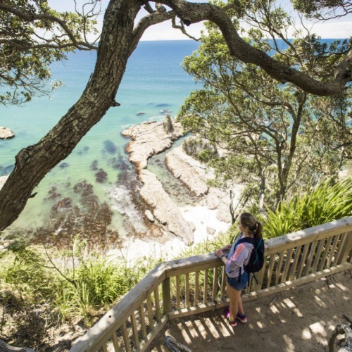 Ōtarawairere on the Ngā Tapuwae o Toi track