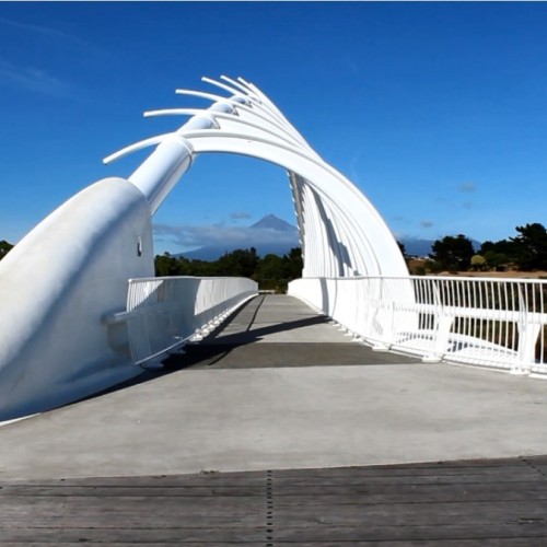 Te Rewa Rewa Bridge on the Coastal Walkway