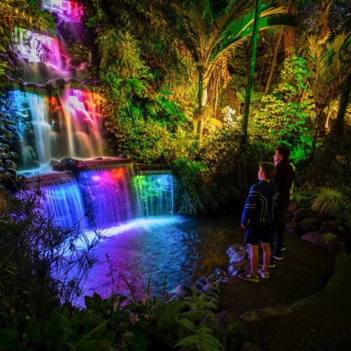TSB Festival of Lights in Pukekura Park