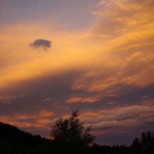 'Kelcey's Bush - sky'