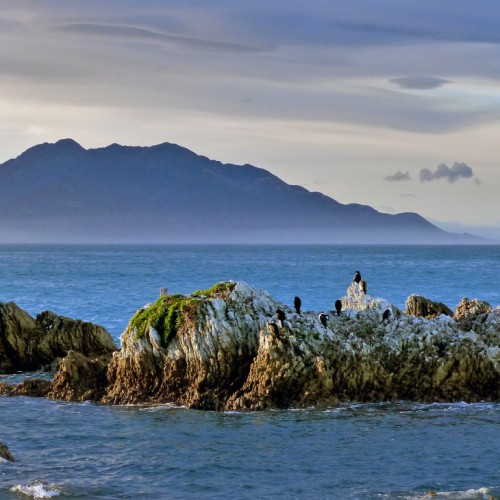 'Kaikoura coastline.NZ'