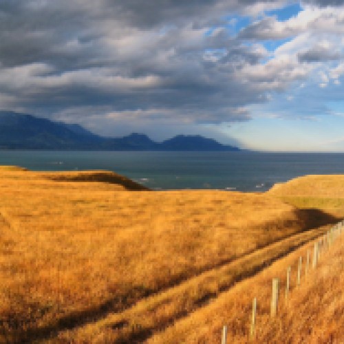 'Kaikoura Peninsula Walkway'