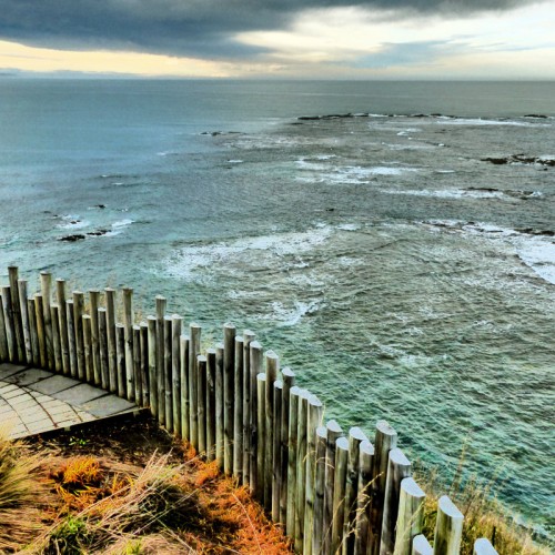 'Viewing Platform Kaikoura Peninsular'