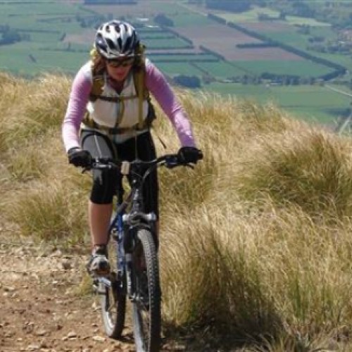 'Mountain Biker on Mt Studholme'