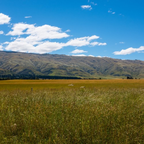 '20170101 Otago Central Rail Trail 001'