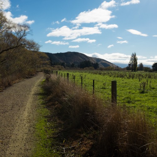 '20170101 Otago Central Rail Trail 012'