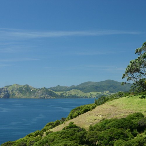 'Hike to Fletchers Bay'