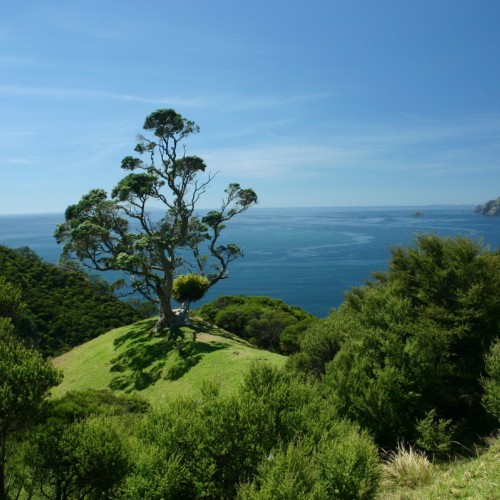 'Hike from Stony Bay to Fletchers Bay'
