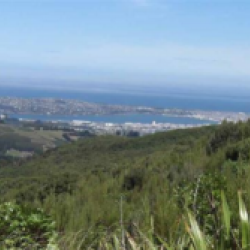 'View from top of Leith Saddle Track'