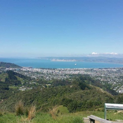 'View from lookout on Te Kuri Walkway'