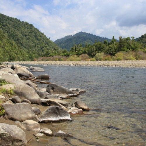 'Waioeka River'