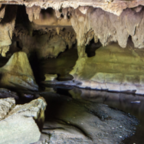'Waipu Caves'