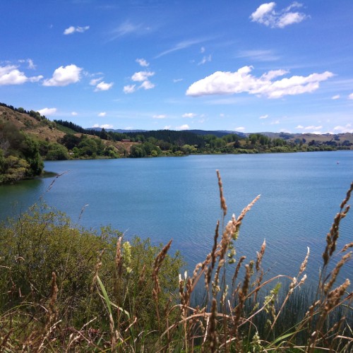 'Lake Tutira' 