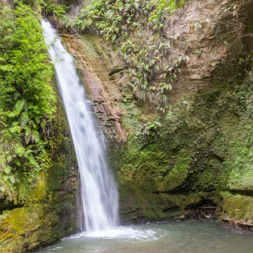 'Swing Bridge at Tangoio Falls and Te Ana Falls'