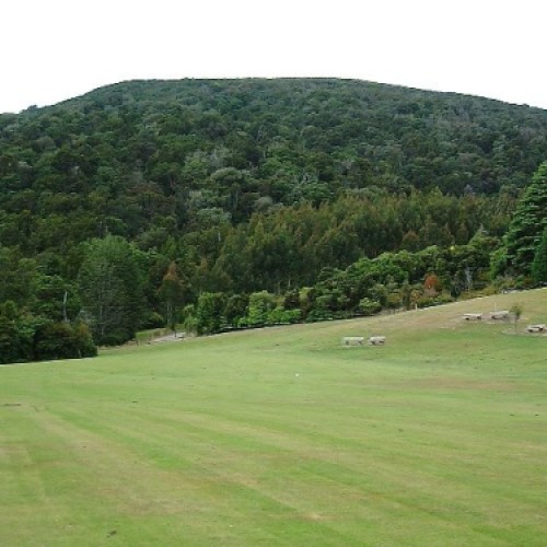 'Dolamore Park, Gore'