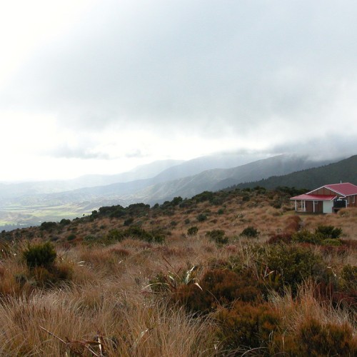 'Rangiwahia Hut'