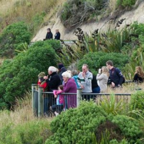 'Bushy beach from viewing platform'