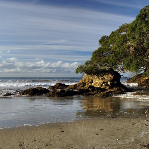 'Ruakaka Beach (11)'
