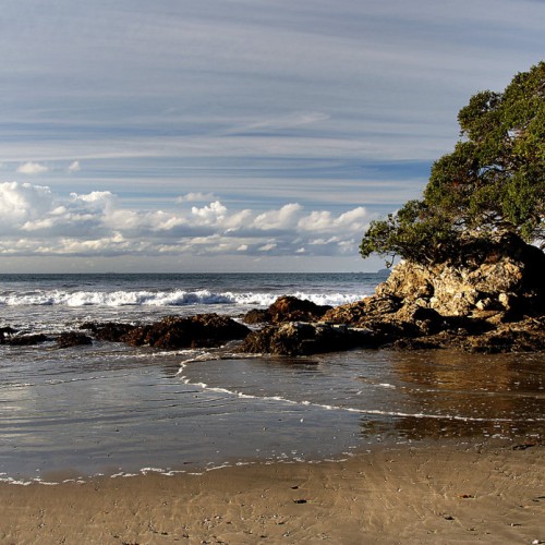 'Waipu Beach.Northland.NZ'