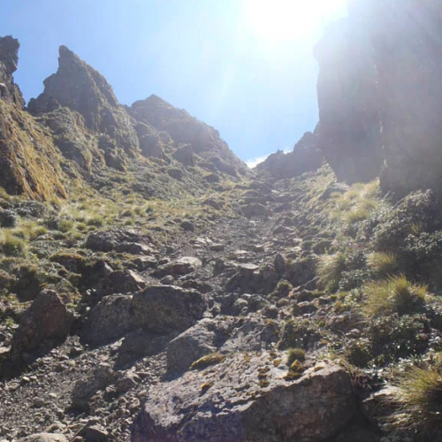 'Mount Hikurangi Track'