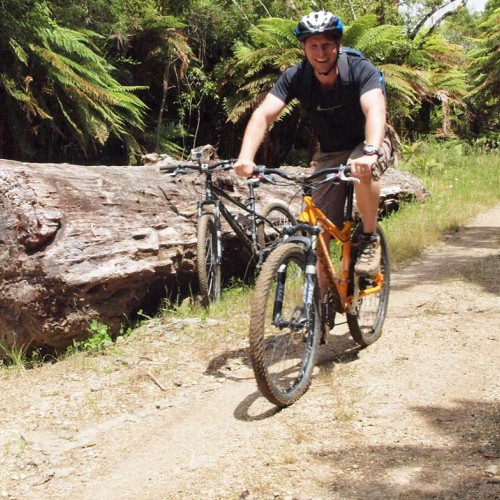 'Cyclists on The Timber Trail'