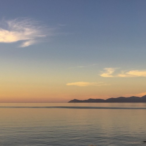 'Kapiti island'