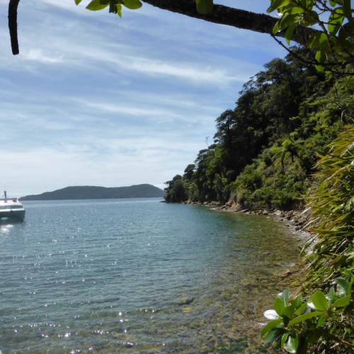 'Queen Charlotte Track, NZ'