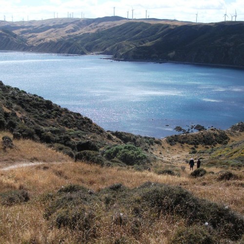 : 'View looking North to Wharehou and Ohariu Bays'