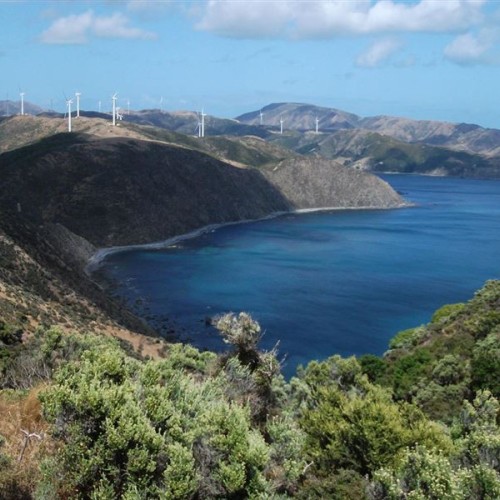 'Looking down to Opau Bay, from just past Fort Opau, on the Makara Walkway'