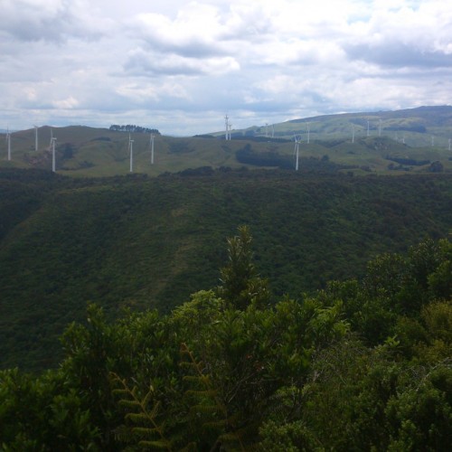 'Manawatu Gorge Track, near Palmerston North, NZ'