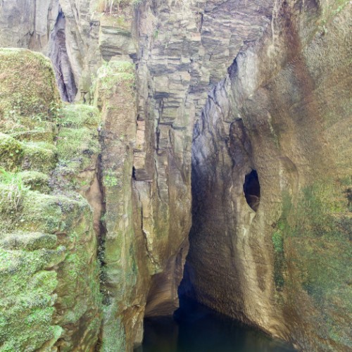 'Cave Creek, Paparoa National Park'