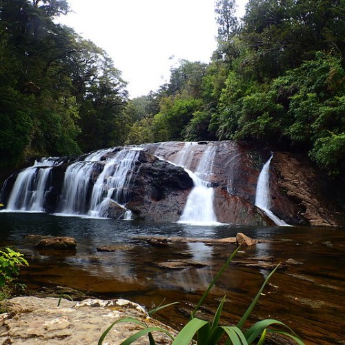 'Greymouth - Coal Creek Falls'