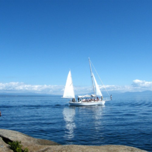 'Fishing from the rocks at Whakamoenga point'
