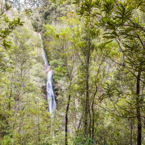 'Wentworth Falls'