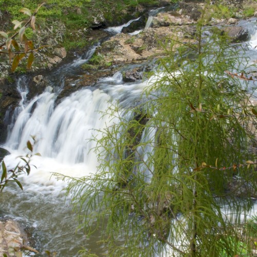 'Taheke Falls'