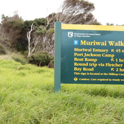 'Muriwai walk, Coromandel.'