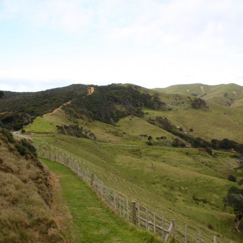 'Muriwai walk, Coromandel.'