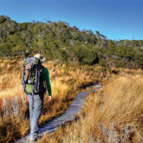 'Day 1: Brown Hut to Perry Saddle Hut'