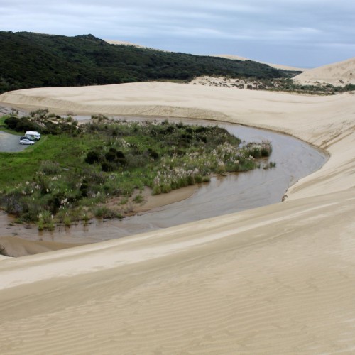 'New Zealand: Te Paki Sand Dunes near Cape Reinga'