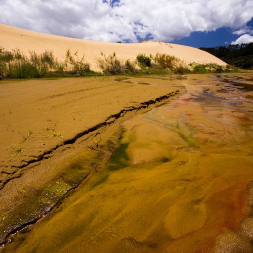 'The colours of Te Paki Stream, Northland, NZ'