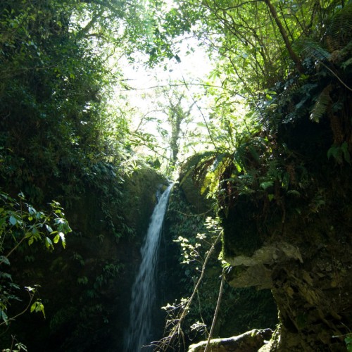 'Emily Falls, Peel Forest, New Zealand'