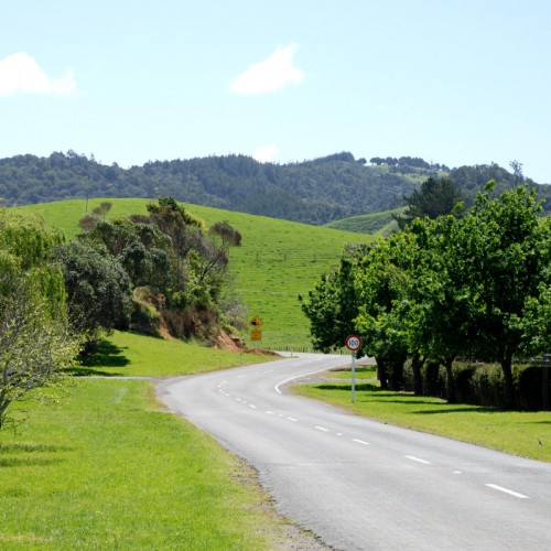 'Whananaki, Northland, New Zealand, October 2007'