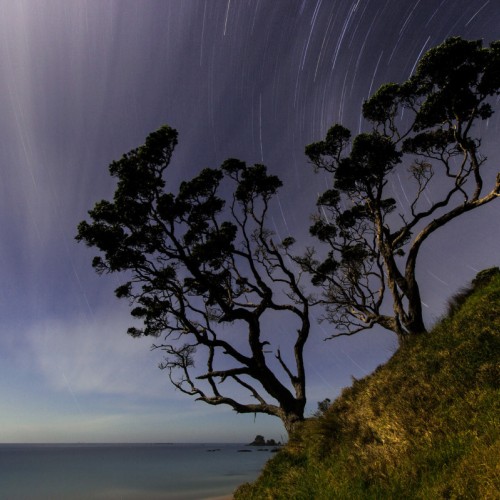 'Whananaki sky'